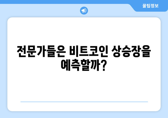 비트코인 가격 전망: 상승장의 시작?