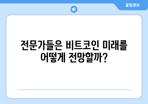 비트코인 하락 이유 및 가격 전망