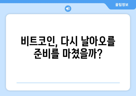 비트코인 가격 전망: 상승장의 시작?