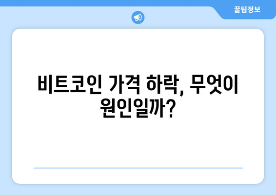 비트코인 하락 이유 및 가격 전망