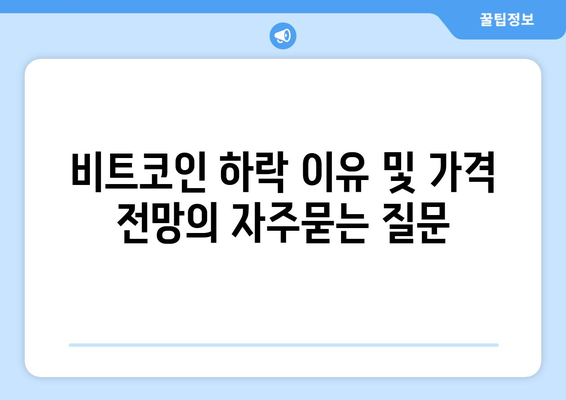 비트코인 하락 이유 및 가격 전망