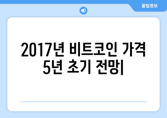 2017년 비트코인 가격 5년 초기 전망