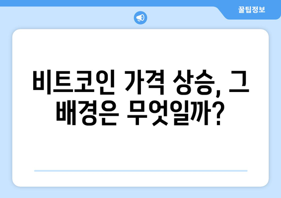 비트코인 가격 전망: 상승장의 시작?