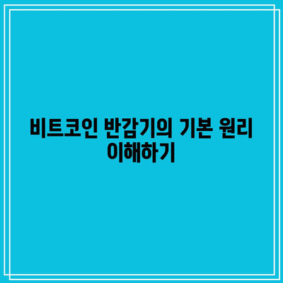 비트코인 반감기: 기존 투자자를 위한 가이드