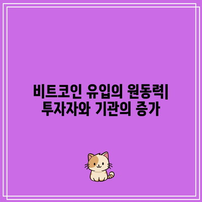 비트코인의 장기적 성장 추진력: 유입 및 수용