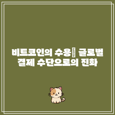 비트코인의 장기적 성장 추진력: 유입 및 수용