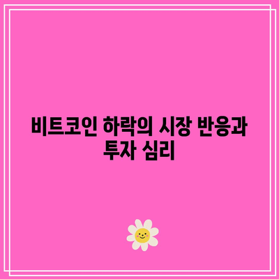 트럼프 효과 종식에 따른 비트코인 가격 하락, 이더리움 가격 움직임 이유 및 전망