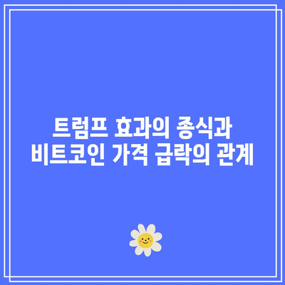 트럼프 효과 종식에 따른 비트코인 가격 하락, 이더리움 가격 움직임 이유 및 전망