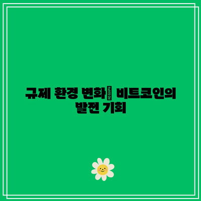 비트코인의 장기적 성장 추진력: 유입 및 수용