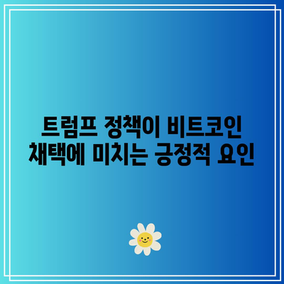 트럼프 정책이 비트코인 가격 전망에 미치는 영향