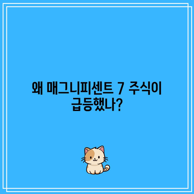 매그니피센트 7: 급등한 주식