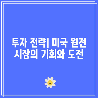 미국 원전 및 전력 인프라 관련 투자