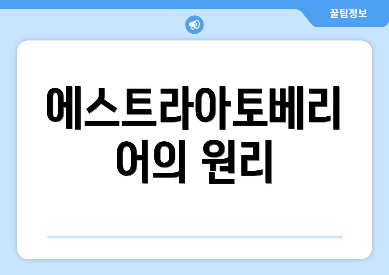 에스트라아토베리어의 원리