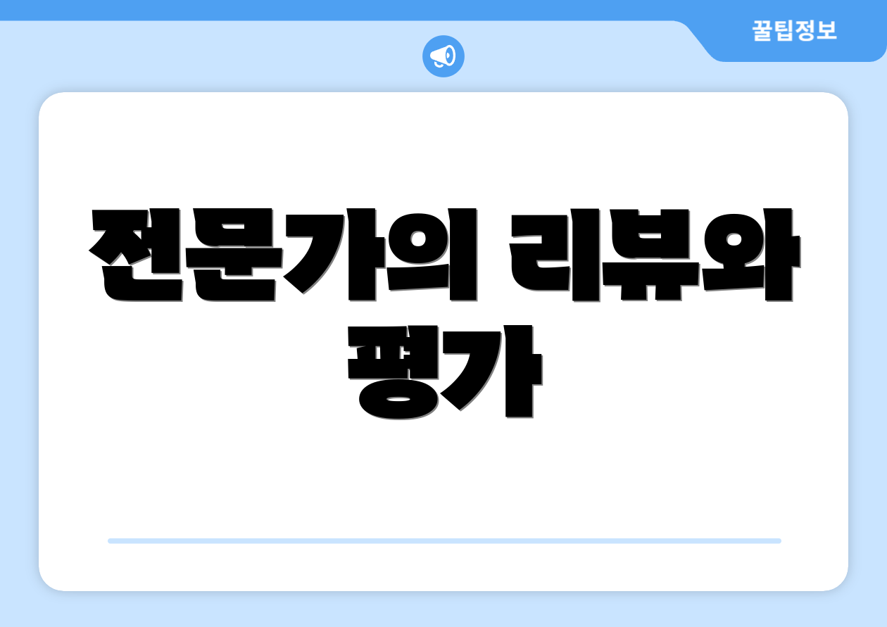 전문가의 리뷰와 평가