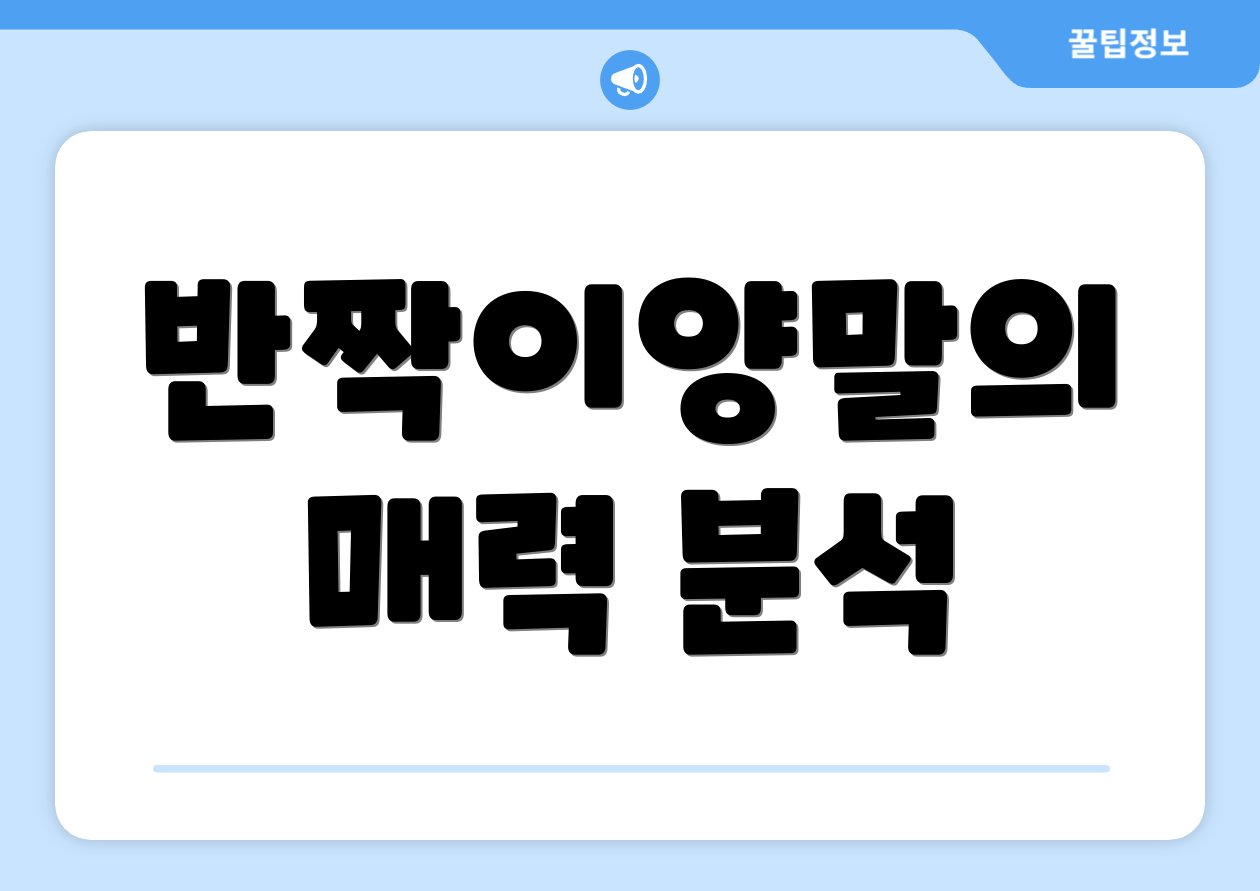 반짝이양말의 매력 분석