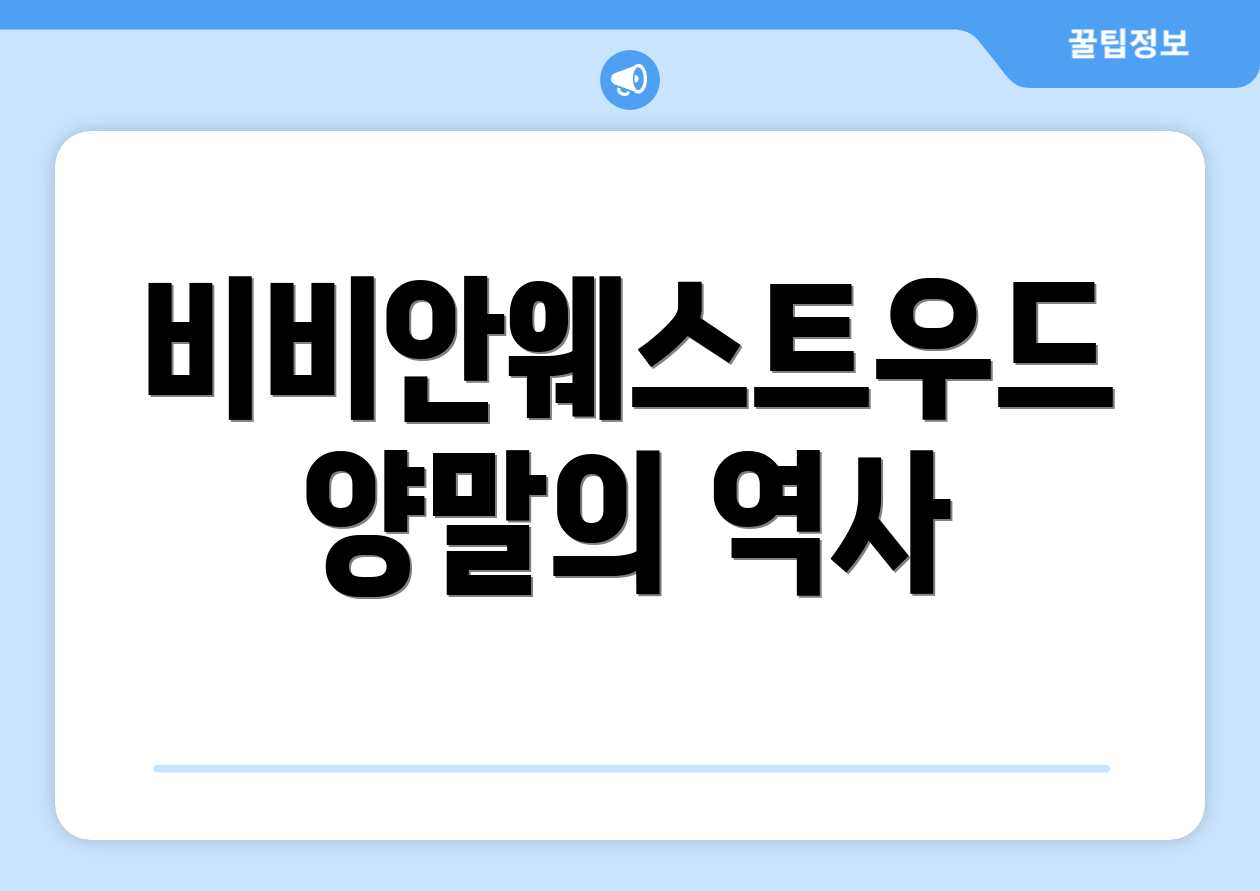 비비안웨스트우드 양말의 역사