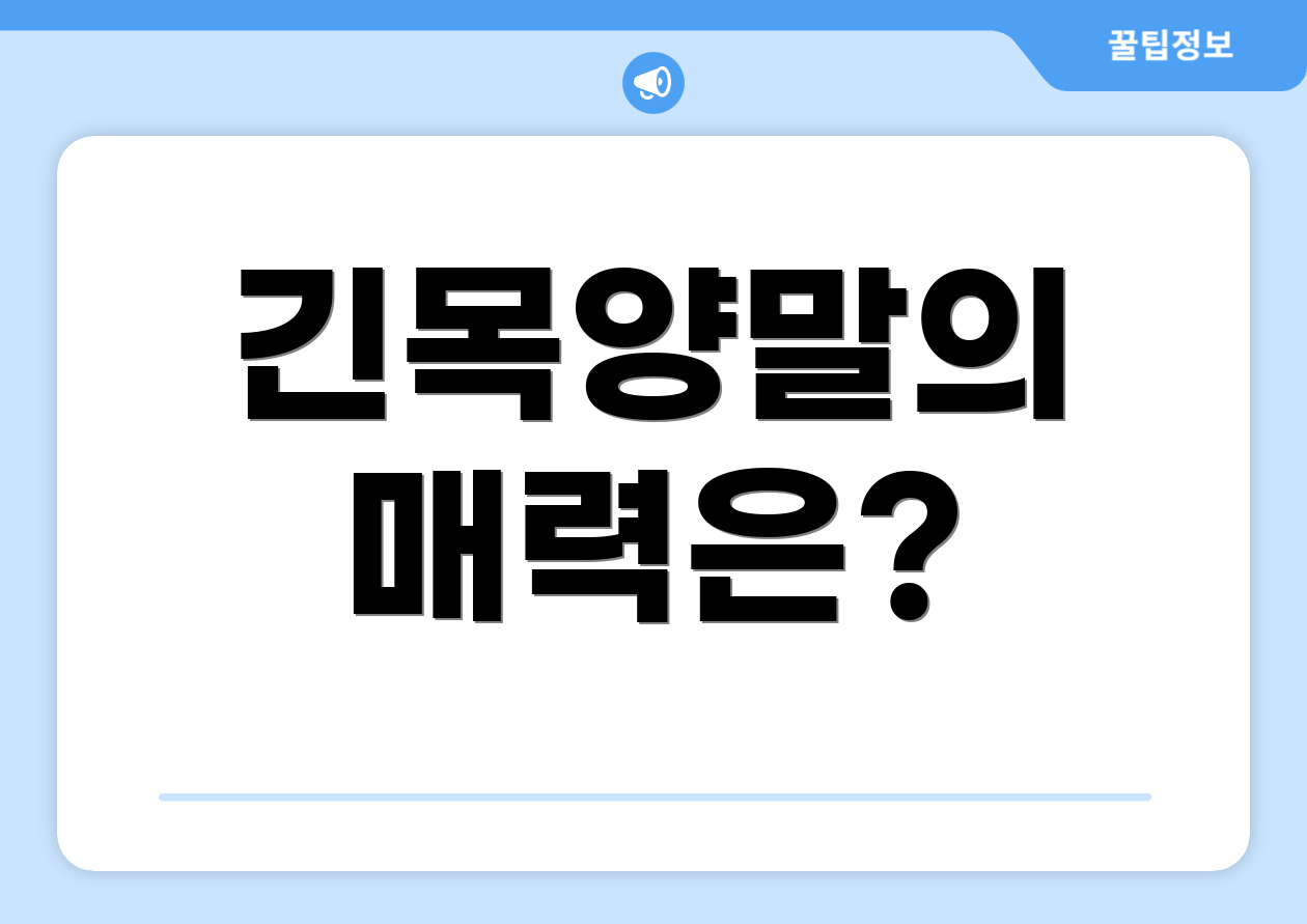 긴목양말의 매력은?