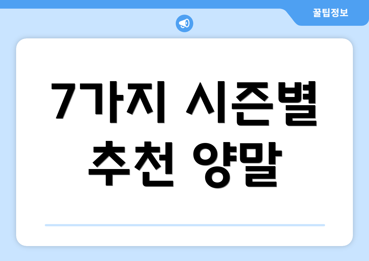 7가지 시즌별 추천 양말