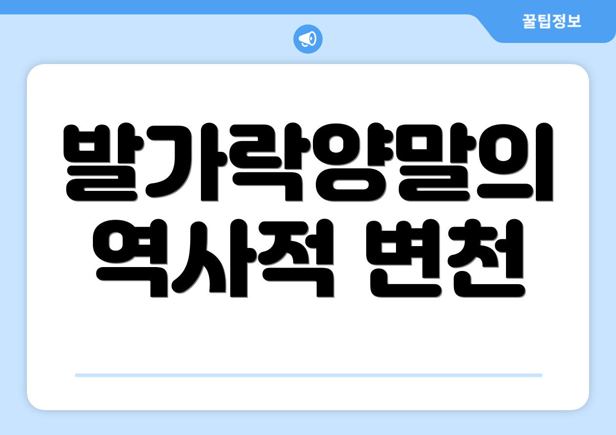 발가락양말의 역사적 변천