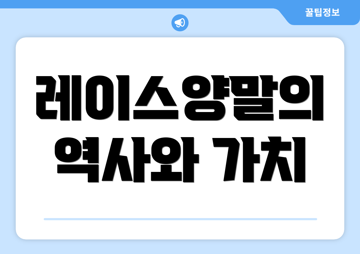 레이스양말의 역사와 가치