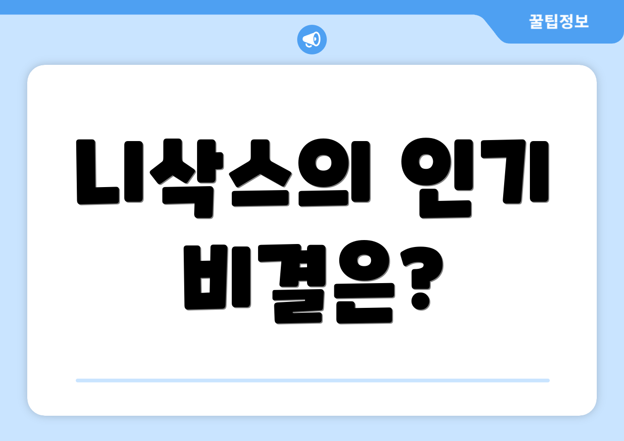 니삭스의 인기 비결은?
